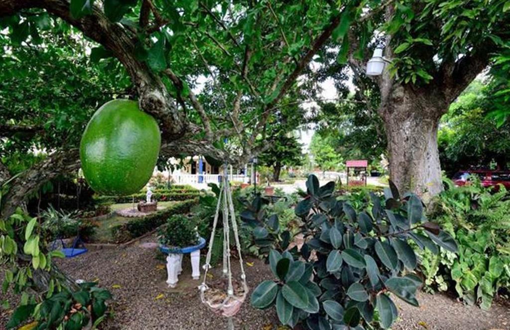 A Pousada Sana El Jardin Secreto Santiago De Los Caballeros Exterior foto