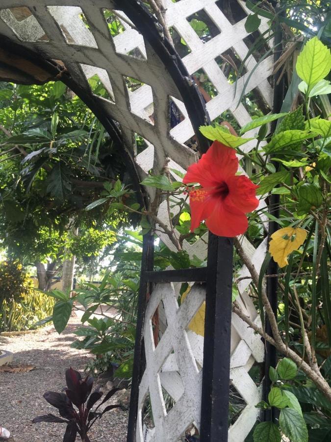 A Pousada Sana El Jardin Secreto Santiago De Los Caballeros Exterior foto